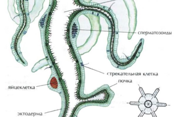 Кракен даркнет сайт на русском